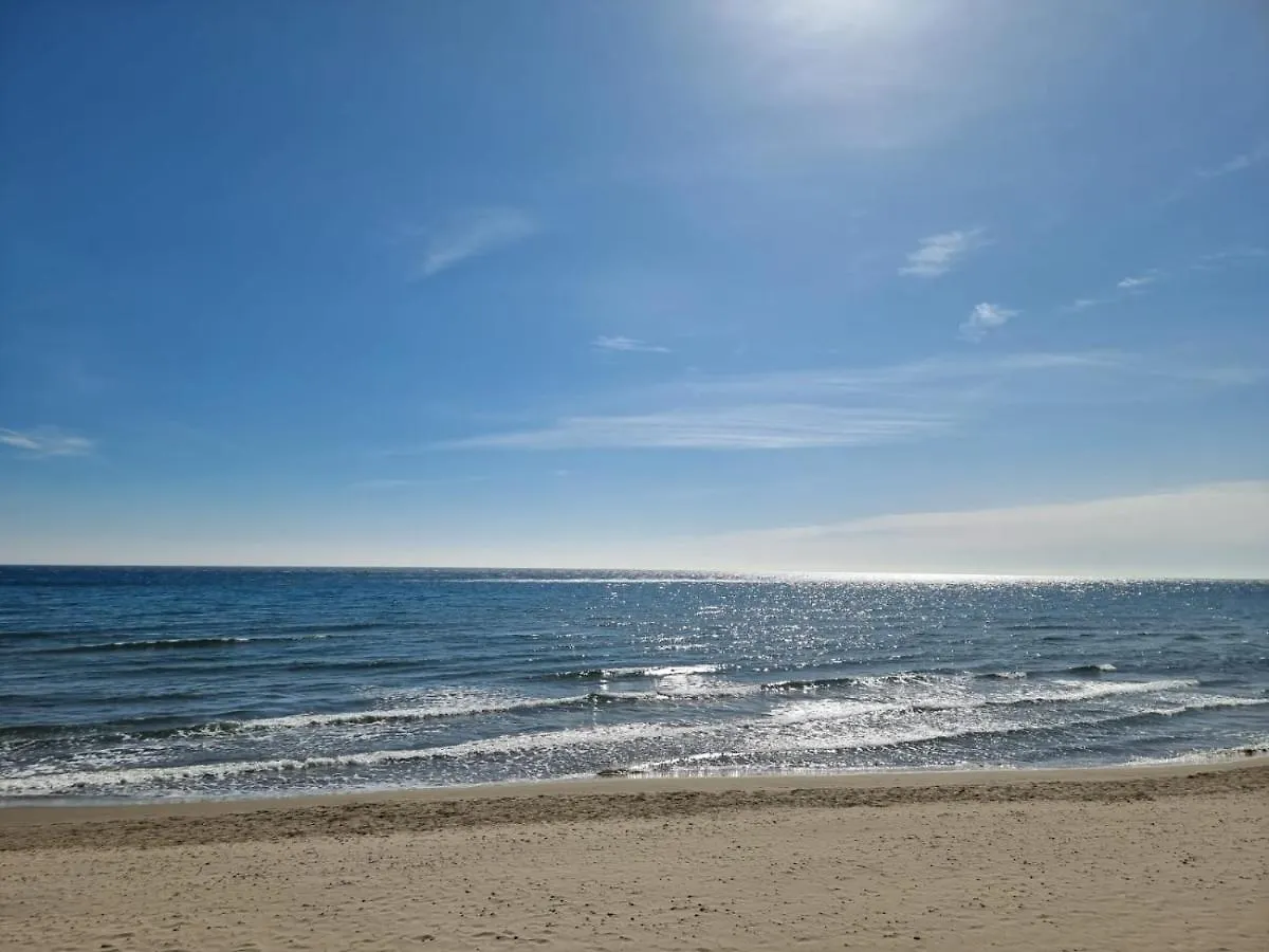 Holiday home Bbking Mimosa Casa Vacanze Andora